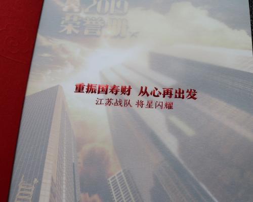 中国人寿艺术纸画册印刷